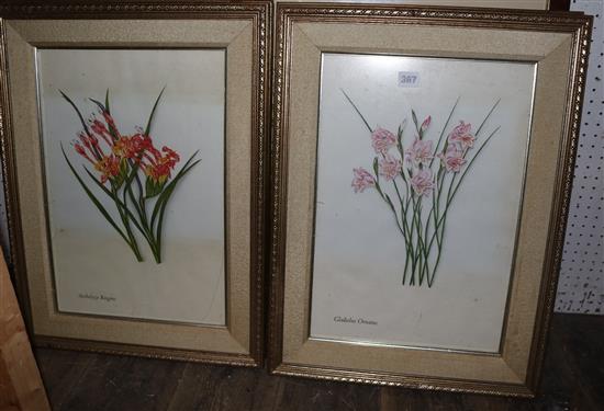 Pair of large botanical prints and a set of 4 smaller botanical prints (6)(-)